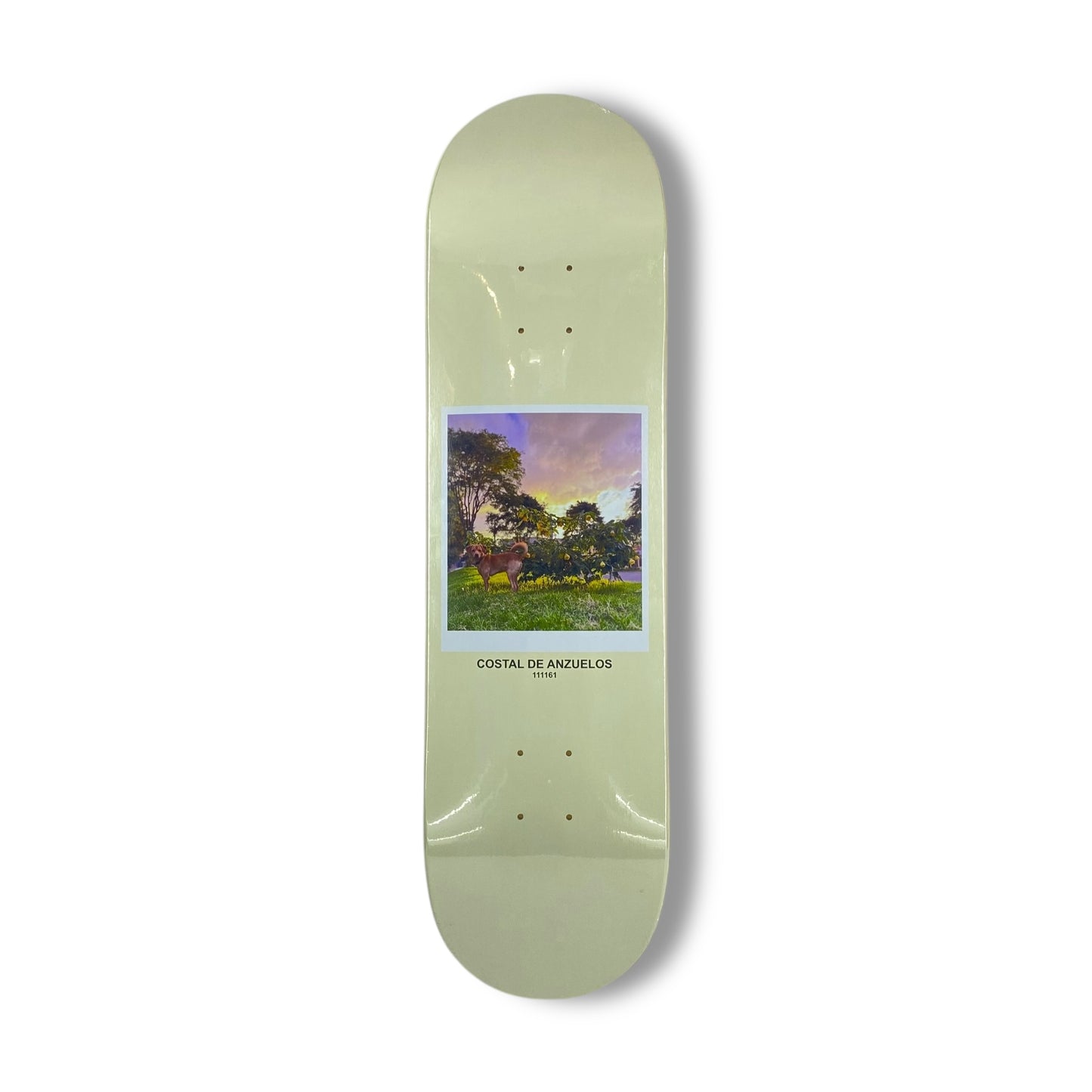 TABLA COSTAL DE ANZUELOS LUCA