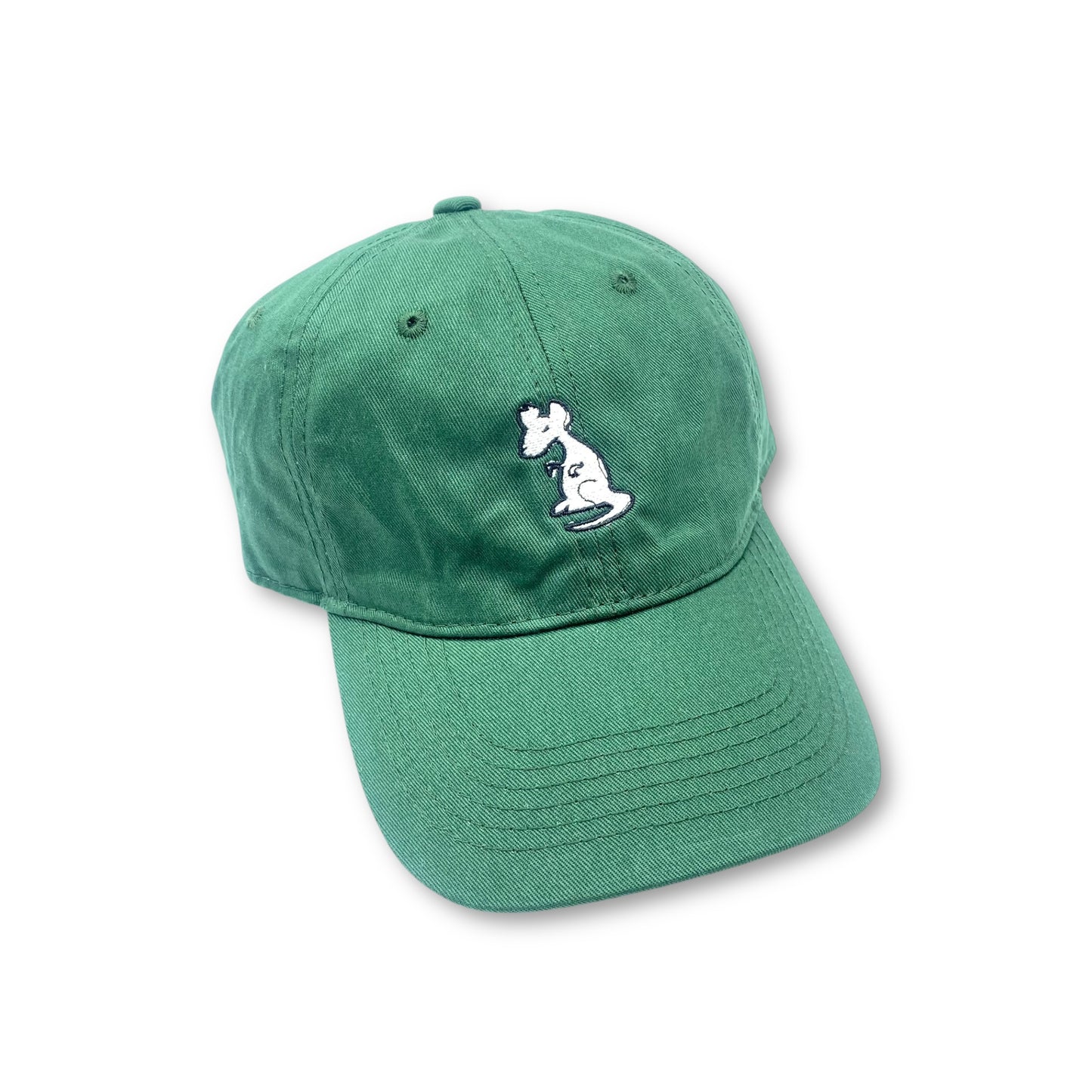 GORRA RUINS RATA