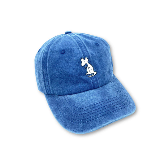 GORRA RUINS RATA