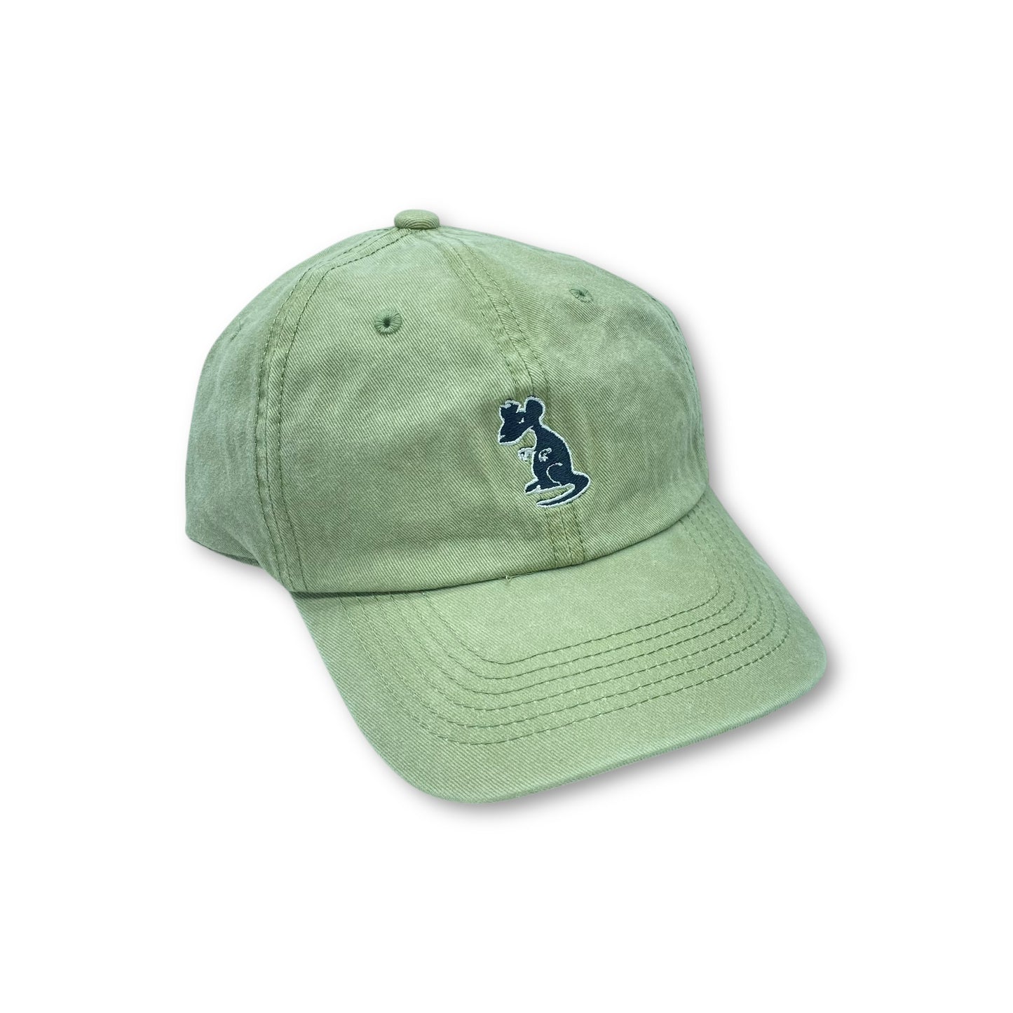 GORRA RUINS RATA
